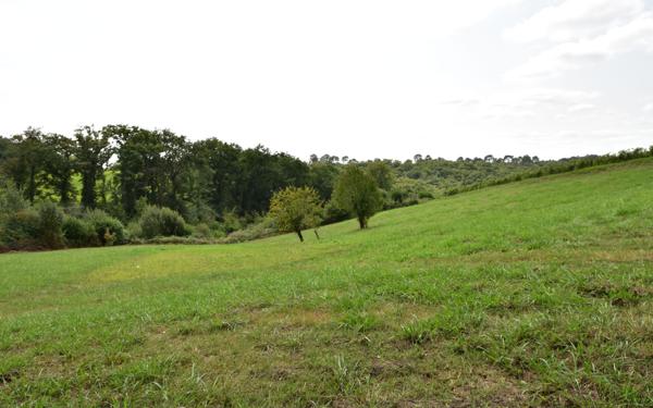 Maison à vendre    5 pièces •  Hagetmau