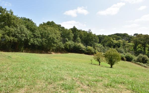 Maison à vendre    5 pièces •  Hagetmau