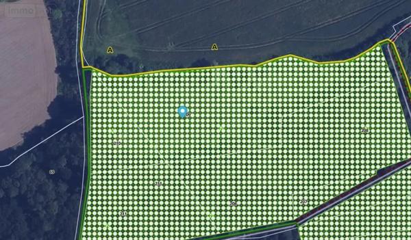 Achat - Terrain de loisirs, bois, étangs Saint-Jean-Trolimon 29120 8577 m 2