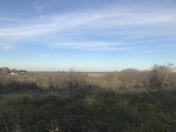 Terrain à vendre |  Jegun |  1926 m²