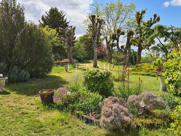 BORDS DE LOIRE : belle maison troglodyte du 15e siècle.