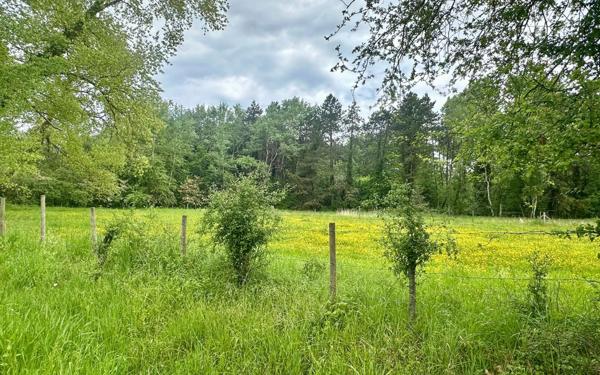 Terrain à vendre    Merlimont