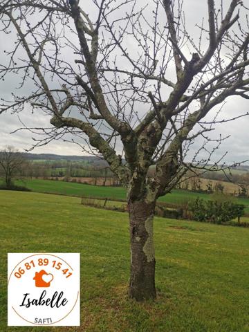 Maison de 75 m² de plain-pied individuelle, 2 chambres, vue sur les Pyrénées, avec très beau terrain 5146 m².