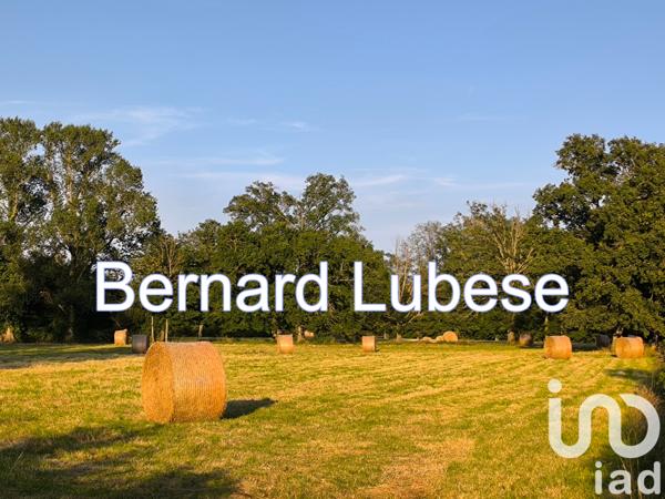 Terrain à vendre 11 470 m² Magnat-l'Étrange