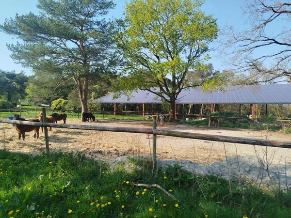 Centre Equestre en Centre Bretagne, Murs commerciaux