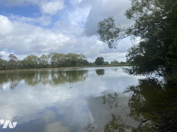 RARE - PLAN D'EAU avec maisonnette - MONTSURS (SAINT OUEN DES VALLONS)