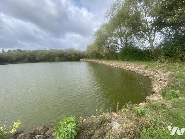 RARE - PLAN D'EAU avec maisonnette - MONTSURS (SAINT OUEN DES VALLONS)