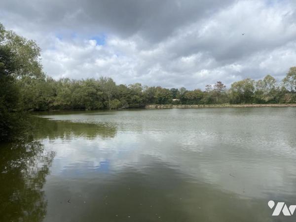 RARE - PLAN D'EAU avec maisonnette - MONTSURS (SAINT OUEN DES VALLONS)