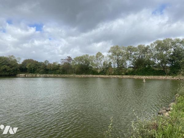 RARE - PLAN D'EAU avec maisonnette - MONTSURS (SAINT OUEN DES VALLONS)