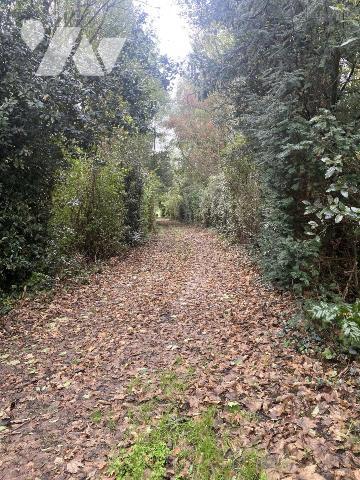 RARE - PLAN D'EAU avec maisonnette - MONTSURS (SAINT OUEN DES VALLONS)