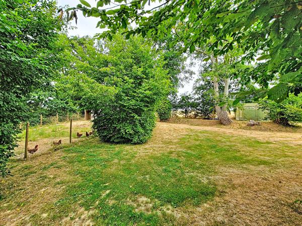 A vendre à MARIGNE maison de campagne avec grand terrain