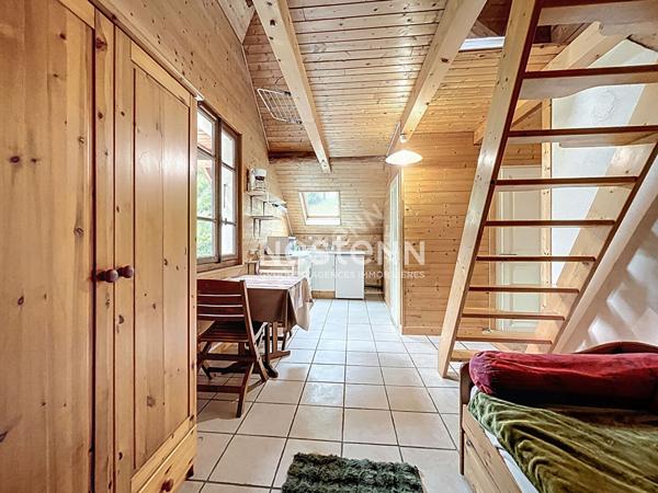 Charmant appartement 1 pièce de 19,47 m² au sol à vendre aux Clefs (74230)