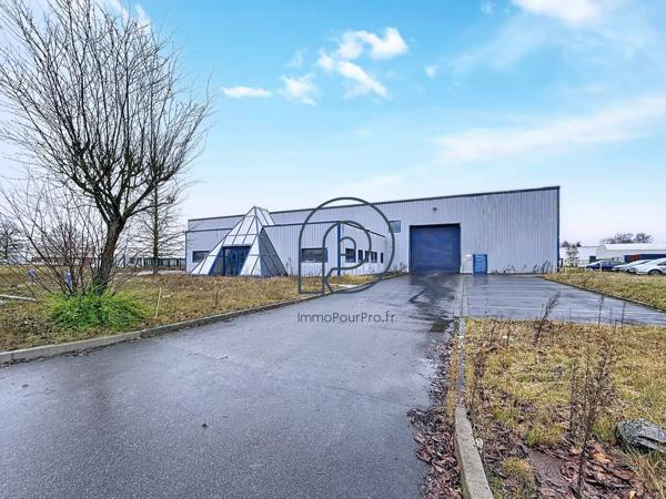 Local industriel de 3 870 m² à Saint-Amand-les-Eaux à vendre