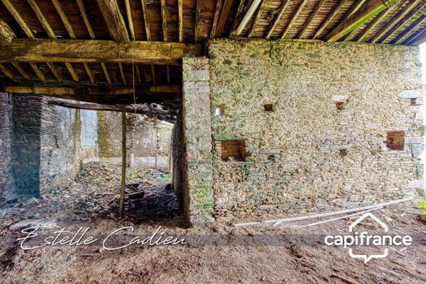Maison à vendre en campagne SAINT PIERRE DU CHEMIN (85)