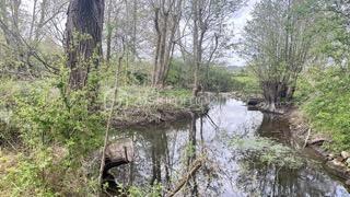 Terrain de 5 539 m²