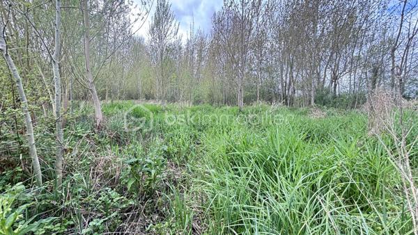 Terrain de 5 539 m²