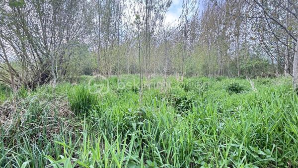 Terrain de 5 539 m²