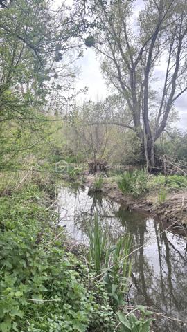 Terrain de 5 539 m²