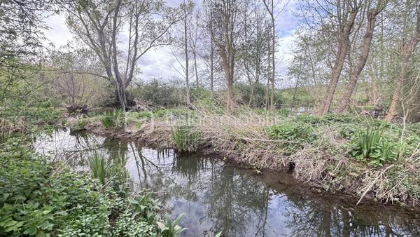 Terrain de 5 539 m²