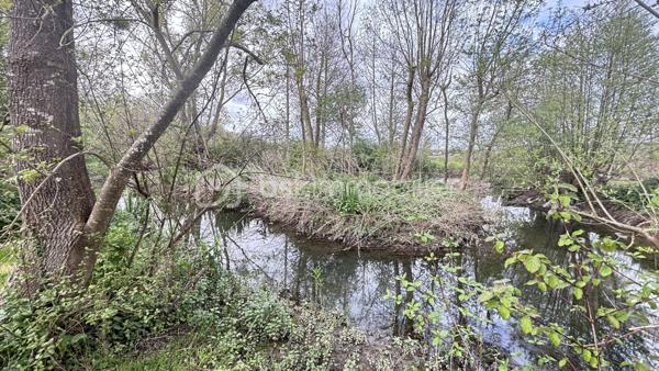 Terrain de 5 539 m²
