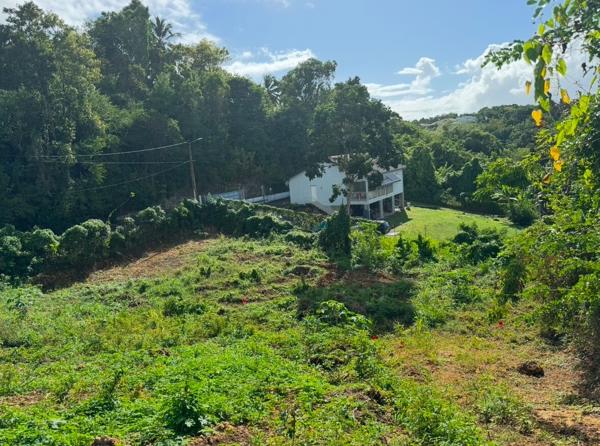 Terrain de 525 m² avec Projet de Construction - Secteur Calme au Gosier (97190)