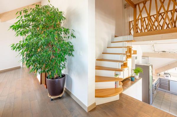 Vente / Duplex