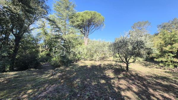 Terrain de loisirs de 4 870 m²