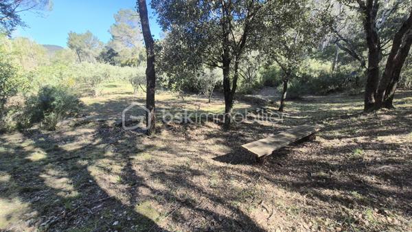 Terrain de loisirs de 4 870 m²