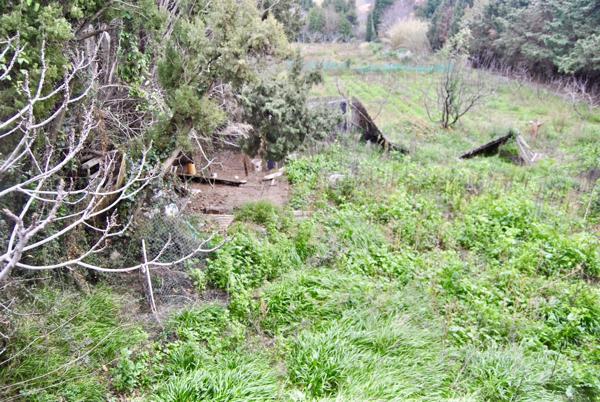 Maison 1 pièce - 140 m² Exclusivité efficity