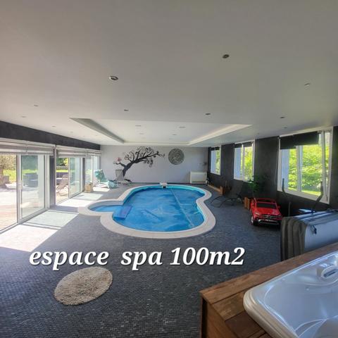 SUPERBE !!:villa 330m2 8 pièces 100M2 Espace Sport et Détente 100m2 SAINT DIE DES VOSGES (88)