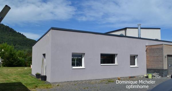 SUPERBE !!:villa 330m2 8 pièces 100M2 Espace Sport et Détente 100m2 SAINT DIE DES VOSGES (88)