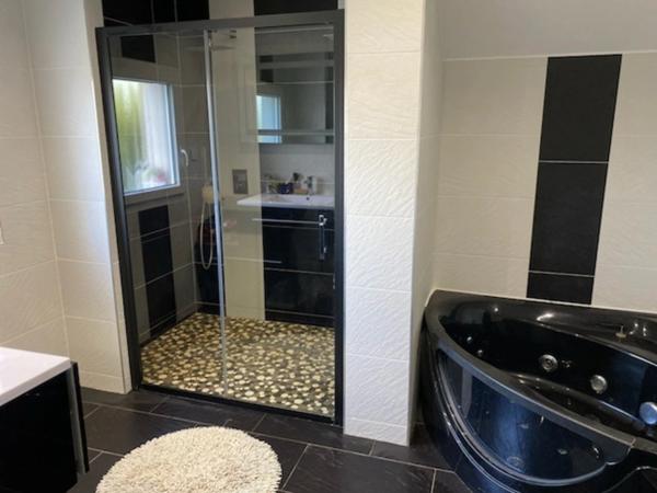 SUPERBE !!:villa 330m2 8 pièces 100M2 Espace Sport et Détente 100m2 SAINT DIE DES VOSGES (88)