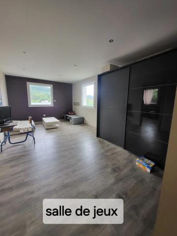 SUPERBE !!:villa 330m2 8 pièces 100M2 Espace Sport et Détente 100m2 SAINT DIE DES VOSGES (88)