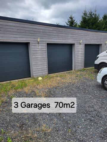 SUPERBE !!:villa 330m2 8 pièces 100M2 Espace Sport et Détente 100m2 SAINT DIE DES VOSGES (88)