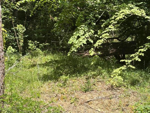 MARCIAC(32): cachée, au bout d'un chemin privé, PROPRIETE sur 2ha, anciens Bains avec sa source encore présente, dépendance, authenticité assurée !