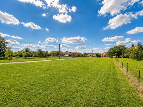 Terrain constructible 1019 m² – Viabilisé – Proche Lorraine TGV