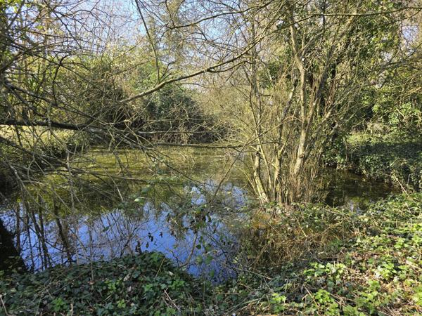 Beton-Bazoches (77320) Belle longère à rénover