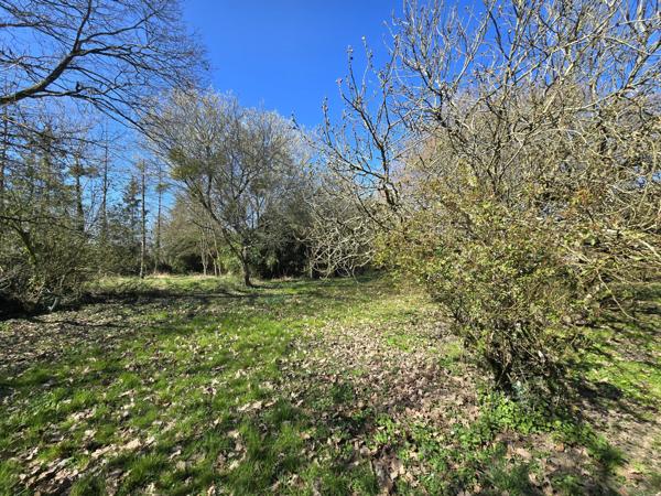 Beton-Bazoches (77320) Belle longère à rénover