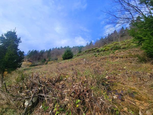 Maison de campagne en pierres avec environ 3ha de terrain