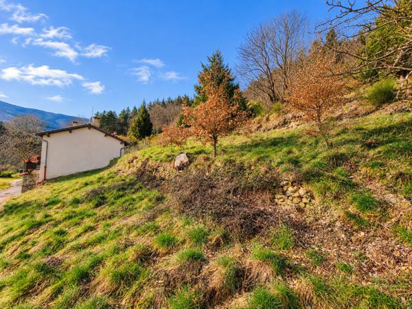 Maison de campagne en pierres avec environ 3ha de terrain