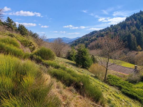 Maison de campagne en pierres avec environ 3ha de terrain