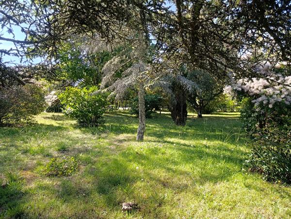 Terrain Vielle Saint Girons 641 m2