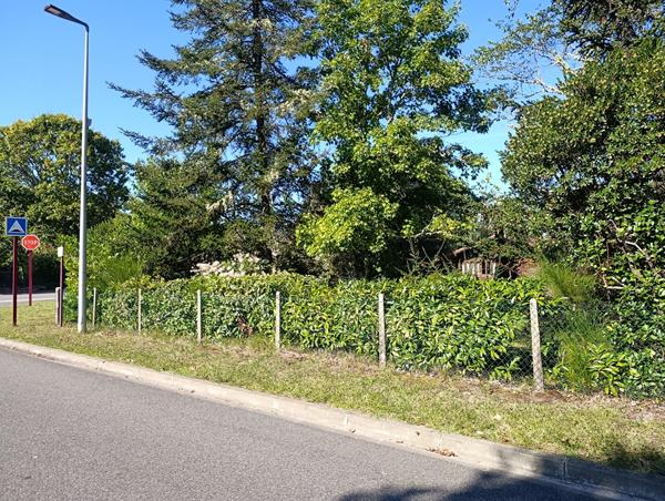 Terrain Vielle Saint Girons 641 m2