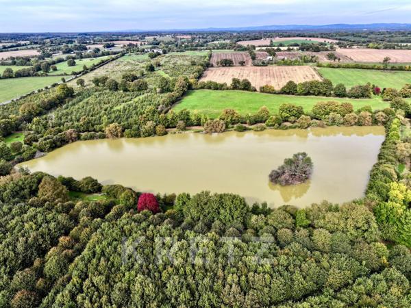 Manoir du XVe IMH, dépendances restaurées, étang 3.5ha avec île sur 18Ha