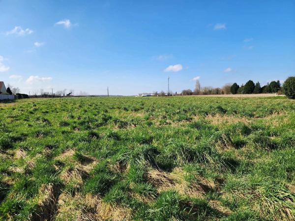 Grand terrain constructible