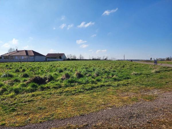 Grand terrain constructible