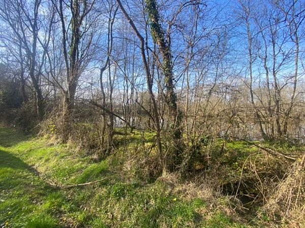 Terrain de loisirs Avrille