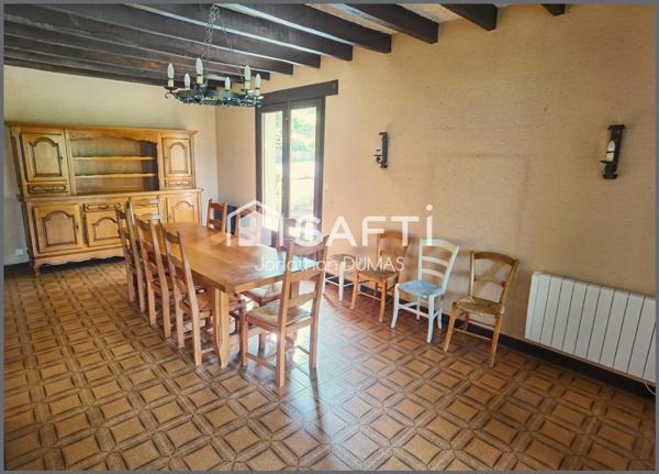 Maison familiale, vue Pyrénées et grand terrain