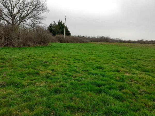 SAINT ANDEOL LE CHATEAU 69700, terrain agricole de 23 055 m2