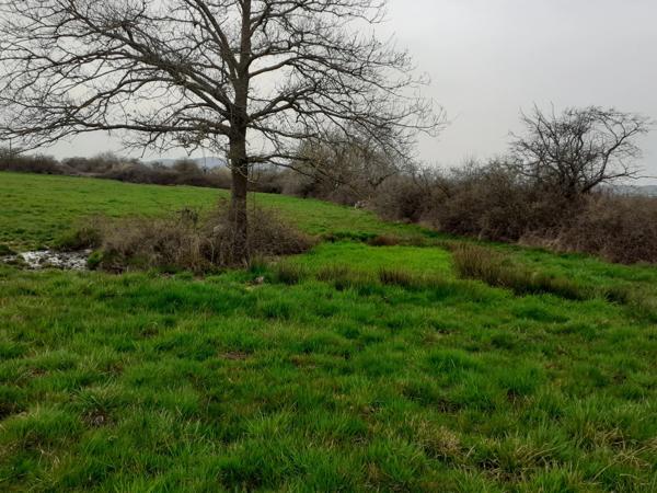 SAINT ANDEOL LE CHATEAU 69700, terrain agricole de 23 055 m2